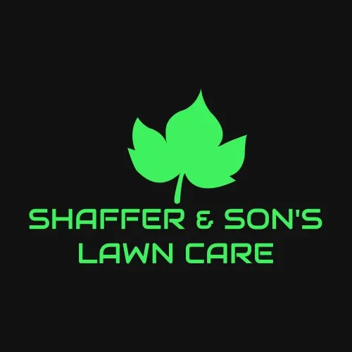 Affordable yard cleanup service for beautiful yards in Charlotte, NC by Shaffer & Son's Lawn Care