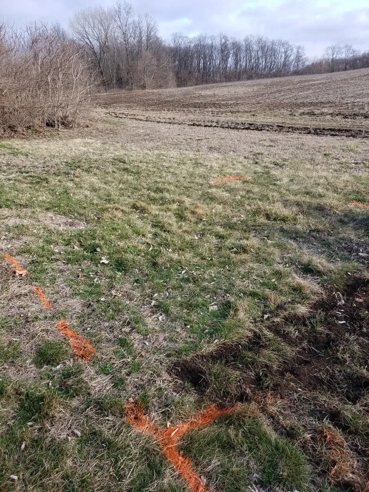 Local outdoor landscaping with custom design in Pekin, IL by Shaffer Beautification