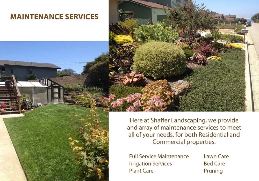 Expert yard cleanup service in Morro Bay, CA - Shaffer Landscaping