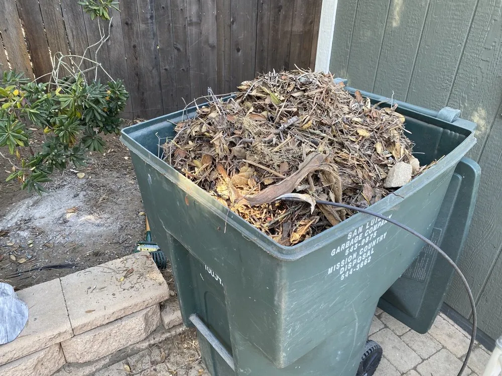 Trusted lawn care service experts serving Morro Bay, CA - Shaffer Landscaping