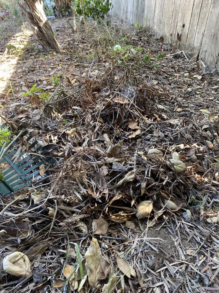 Professional residential landscaping for homes across Morro Bay, CA - Shaffer Landscaping