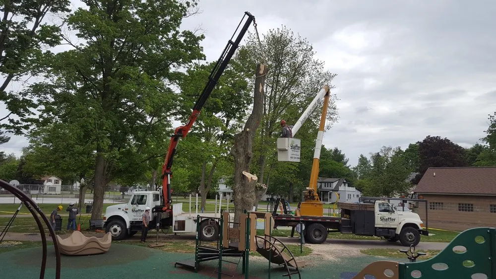 Custom landscape design in Dorr, MI by Shaffer Tree Services