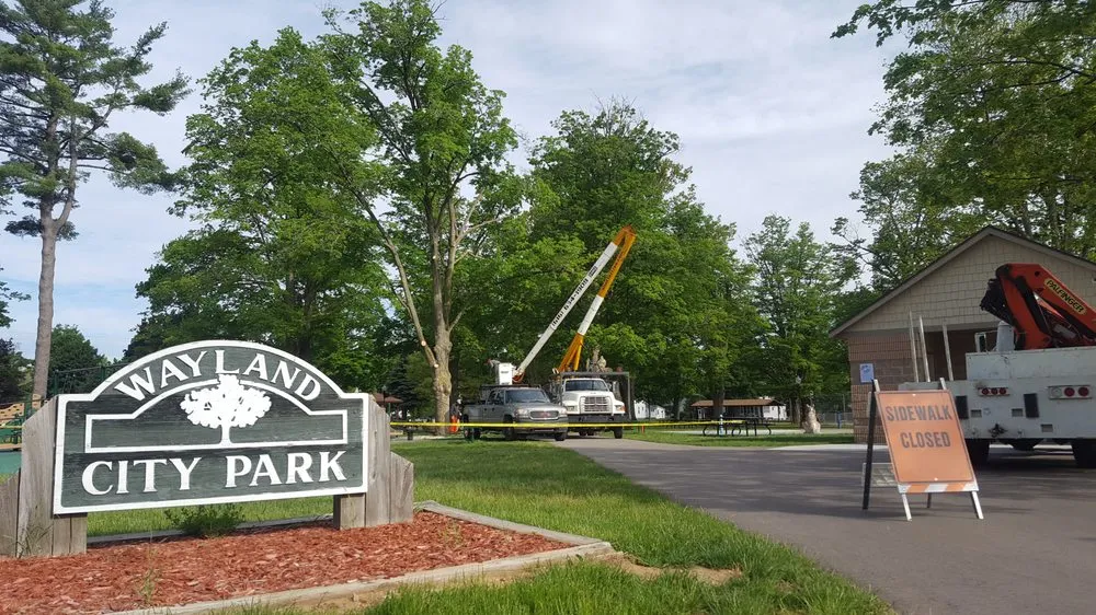 Top-rated lawn care service experts serving Dorr, MI - Shaffer Tree Services