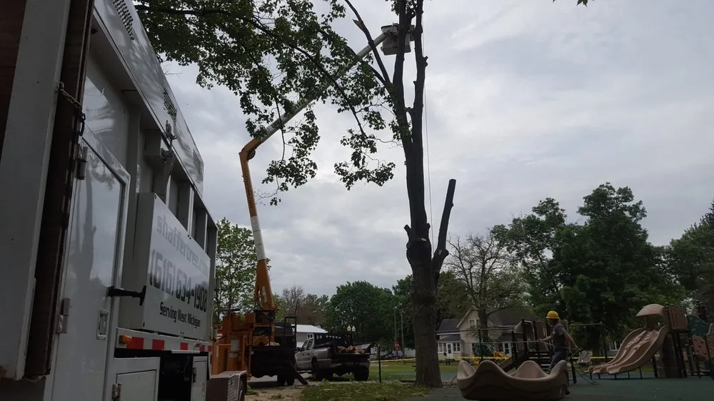 Professional outdoor landscaping with custom design across Dorr, MI - Shaffer Tree Services