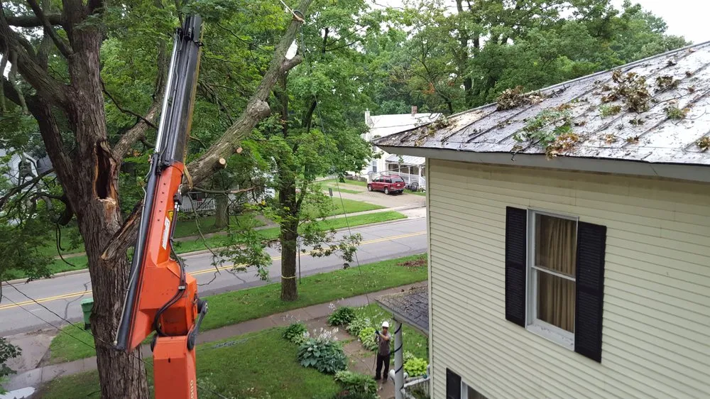 Expert lawn mowing service for year-round maintenance in Dorr, MI by Shaffer Tree Services