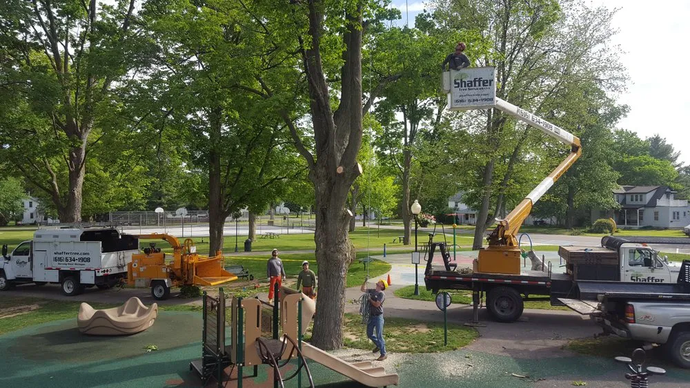Custom residential landscaping for year-round maintenance across Dorr, MI - Shaffer Tree Services