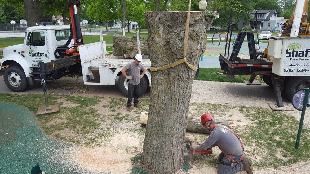 Trusted garden landscaping for homes in Dorr, MI by Shaffer Tree Services