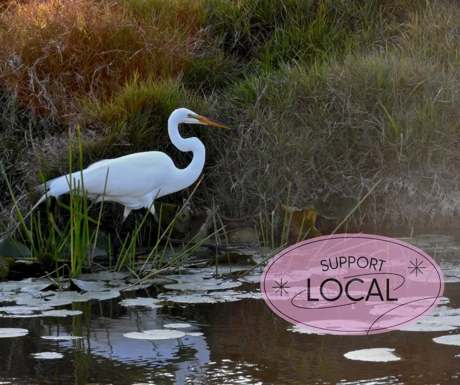 Custom outdoor landscaping near you across Port Charlotte, FL - Shaffer's Irrigation & Outdoor Lighting