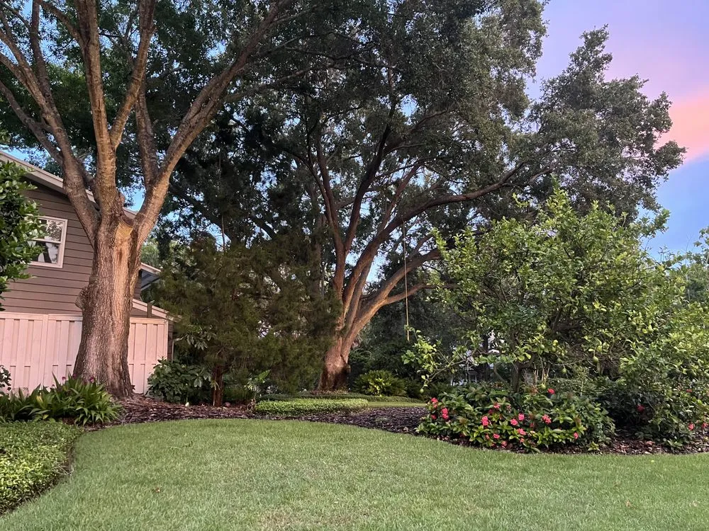 Custom yard maintenance in Port Charlotte, FL by Shaffer's Irrigation & Outdoor Lighting