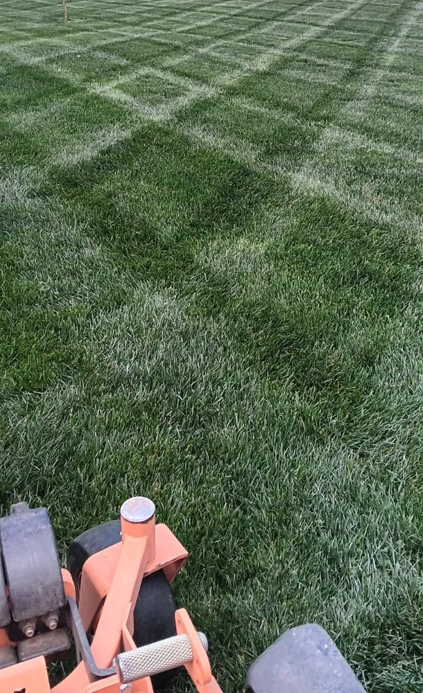 Custom garden landscaping near you across Ronda, NC - Shaffner Bros Lawn Service