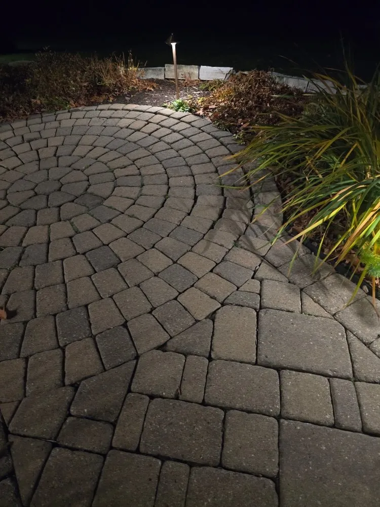 Local lawn care service experts serving Chaska, MN - Shafranski Building Services