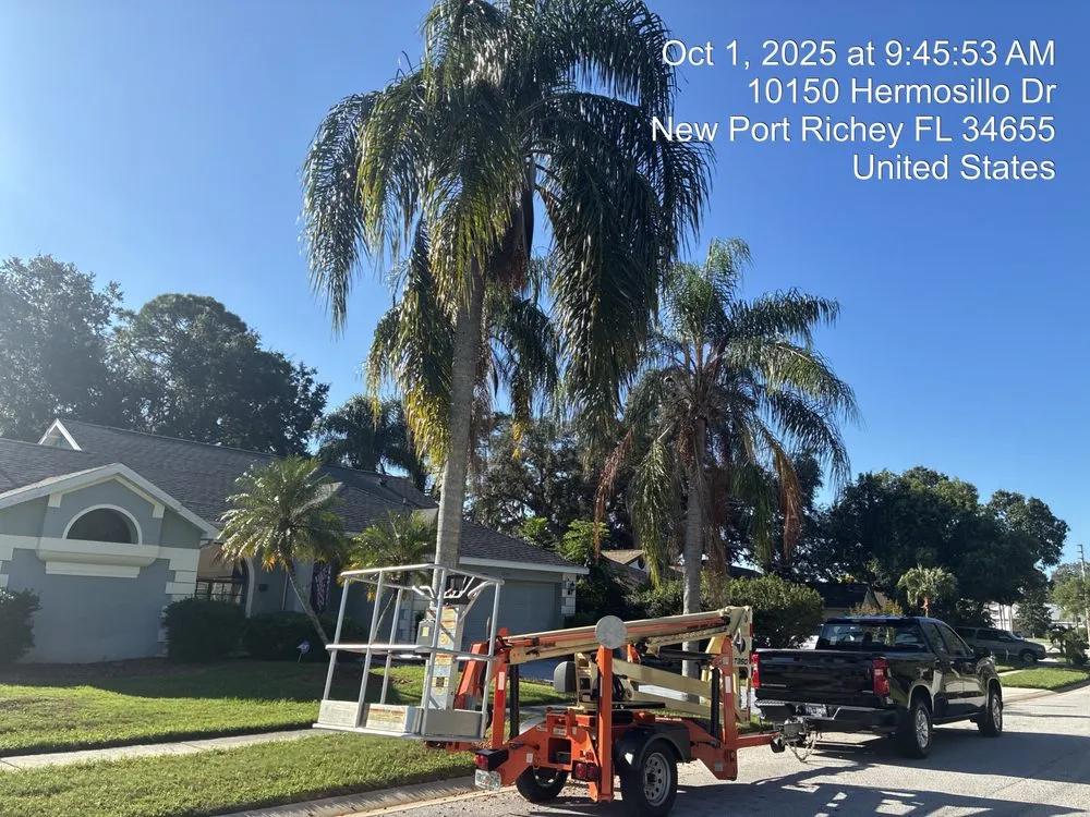 Expert landscaping services in Port Richey, FL - ShaggyCuts