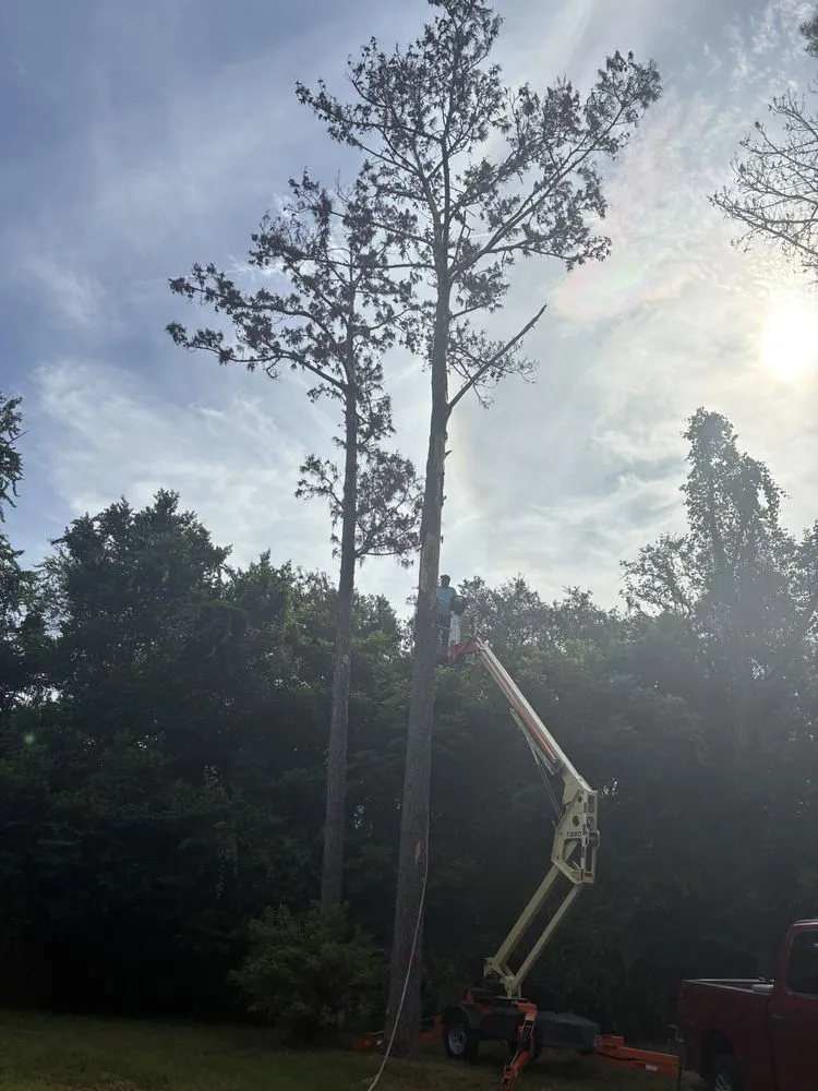 Reliable landscape design in Port Richey, FL by ShaggyCuts