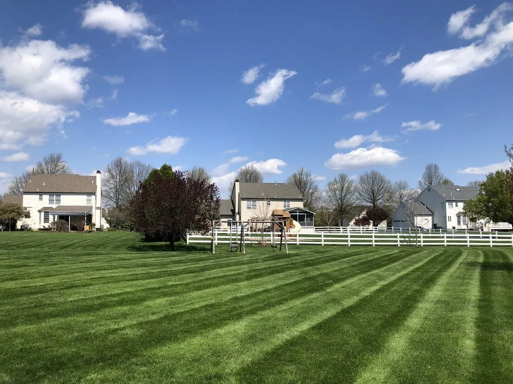Custom yard cleanup service experts serving Linwood, PA - Shaggy’s Landscaping