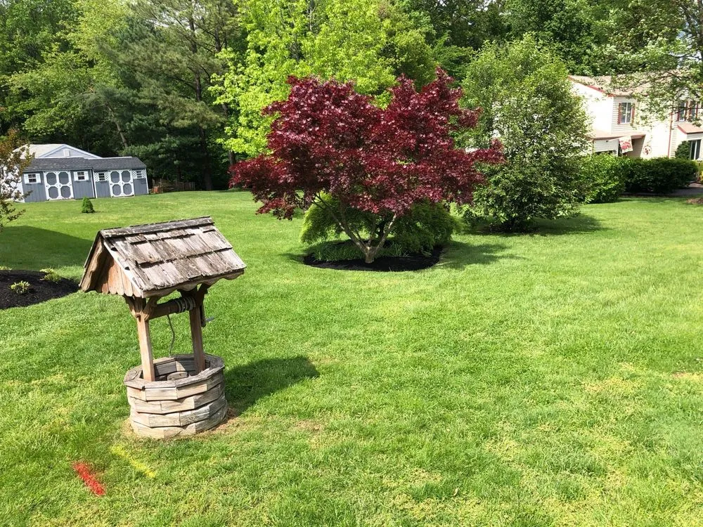 Expert yard cleanup service with custom design in Linwood, PA by Shaggy’s Landscaping