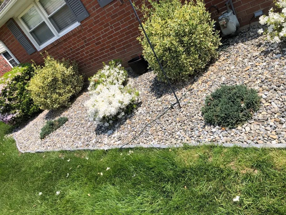 Trusted yard cleanup service for year-round maintenance in Linwood, PA by Shaggy’s Landscaping