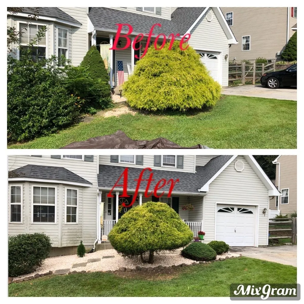 Professional landscape design near you across Linwood, PA - Shaggy’s Landscaping