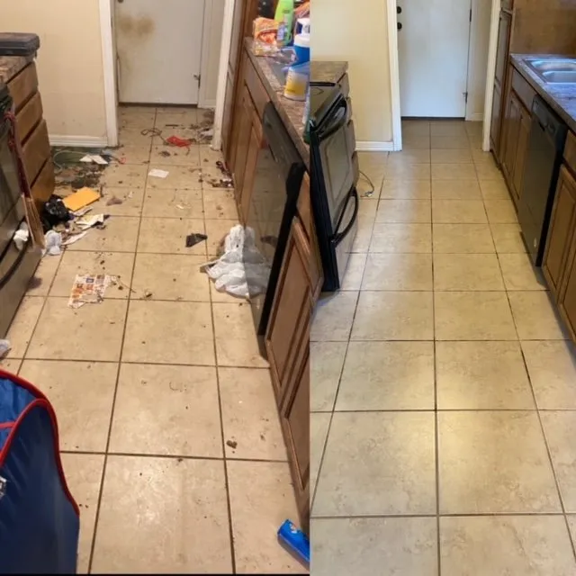 Trusted garden landscaping for residential properties in Tampa, FL by Shake The House