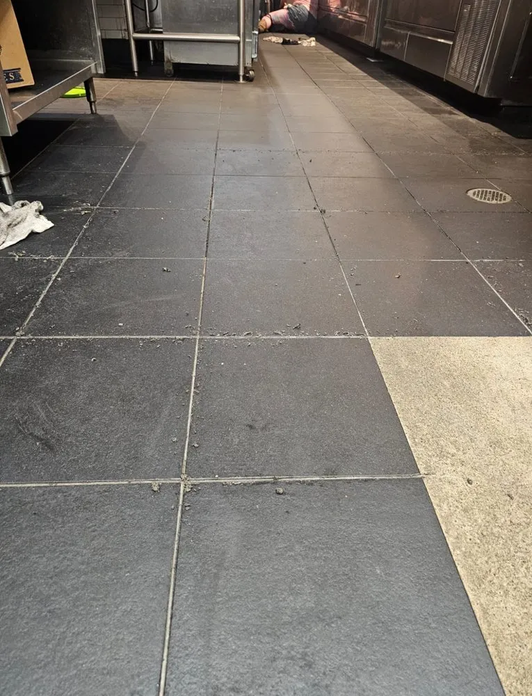 Professional yard cleanup service in Tampa, FL - Shake The House