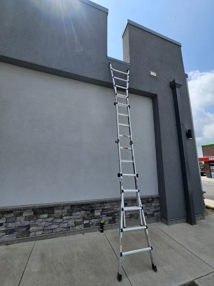 Expert lawn care service experts serving Tampa, FL - Shake The House