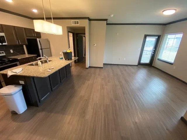 Affordable yard cleanup service experts serving Tampa, FL - Shake The House