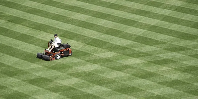 Reliable garden landscaping for beautiful yards across Garden City, MI - Shakespeare Services