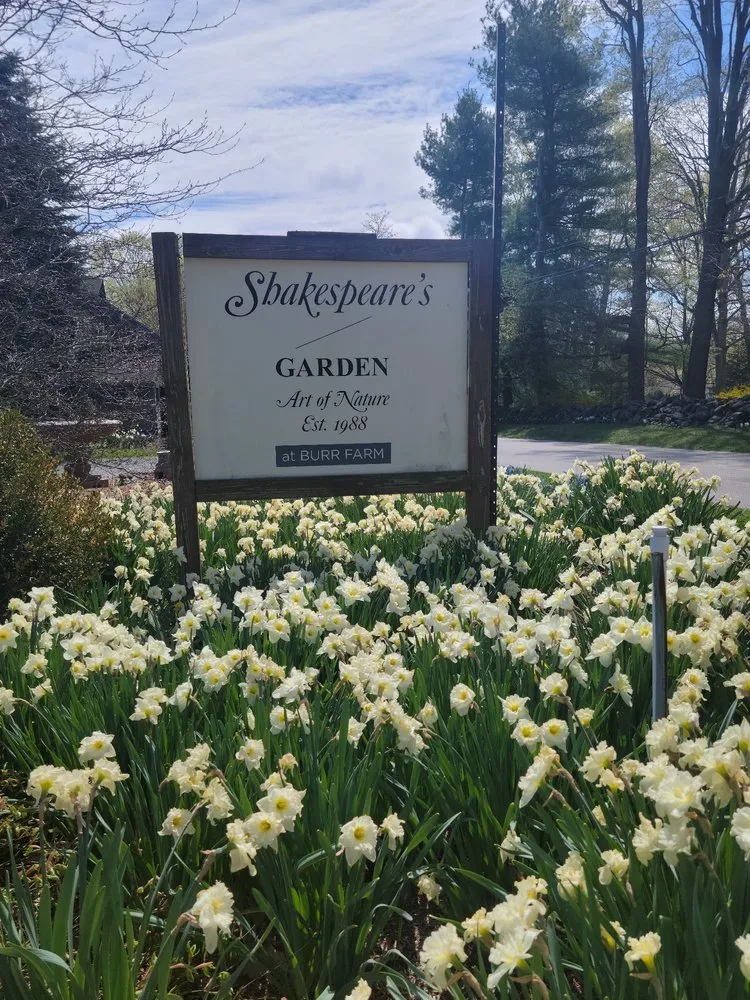 Reliable lawn care service for year-round maintenance across Brookfield, CT - Shakespeare's Garden