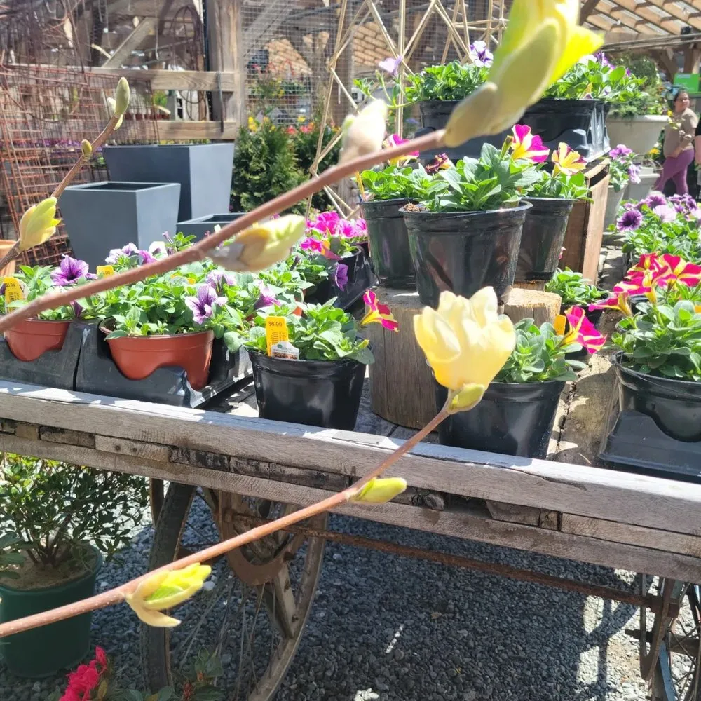 Top-rated residential landscaping with custom design across Brookfield, CT - Shakespeare's Garden