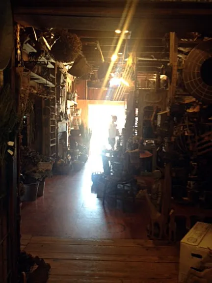 Top-rated landscaping services in Brookfield, CT by Shakespeare's Garden