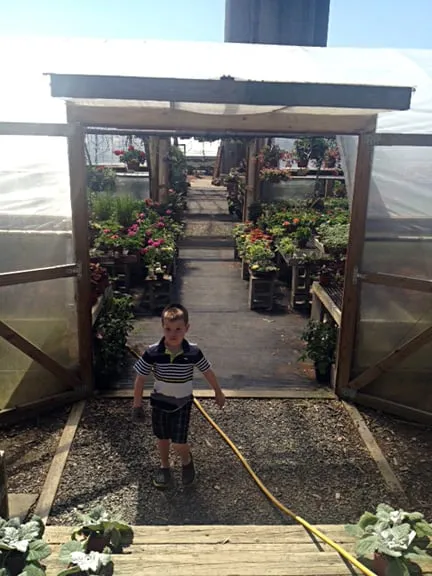 Local lawn mowing service in Brookfield, CT - Shakespeare's Garden