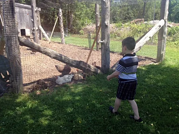 Reliable landscaping services in Brookfield, CT - Shakespeare's Garden