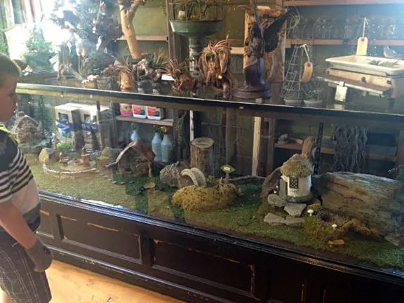 Expert yard cleanup service for beautiful yards across Brookfield, CT - Shakespeare's Garden