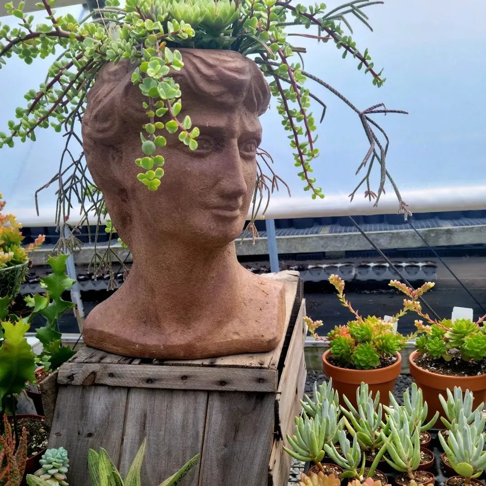 Top-rated lawn care service for homes in Brookfield, CT by Shakespeare's Garden