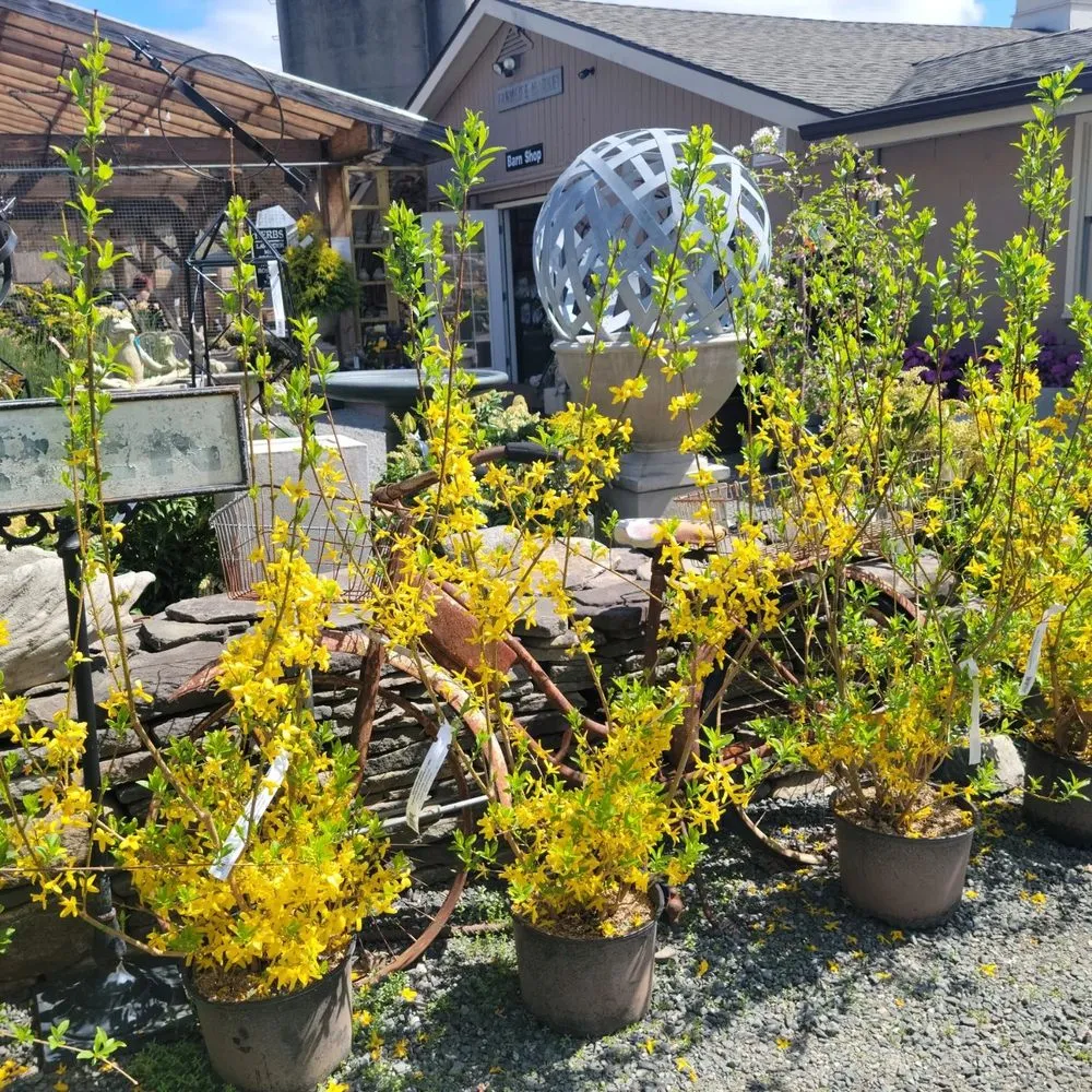 Trusted landscaping services in Brookfield, CT - Shakespeare's Garden