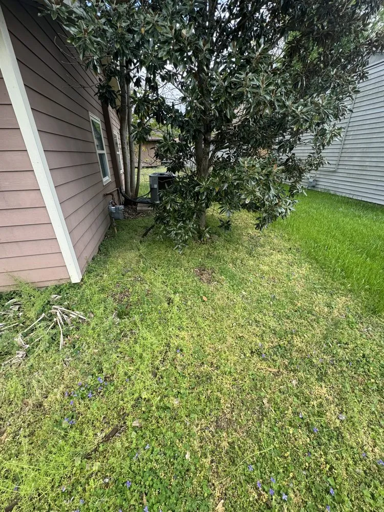 Reliable landscape design in Huntsville, AL by Shakey's Landscaping