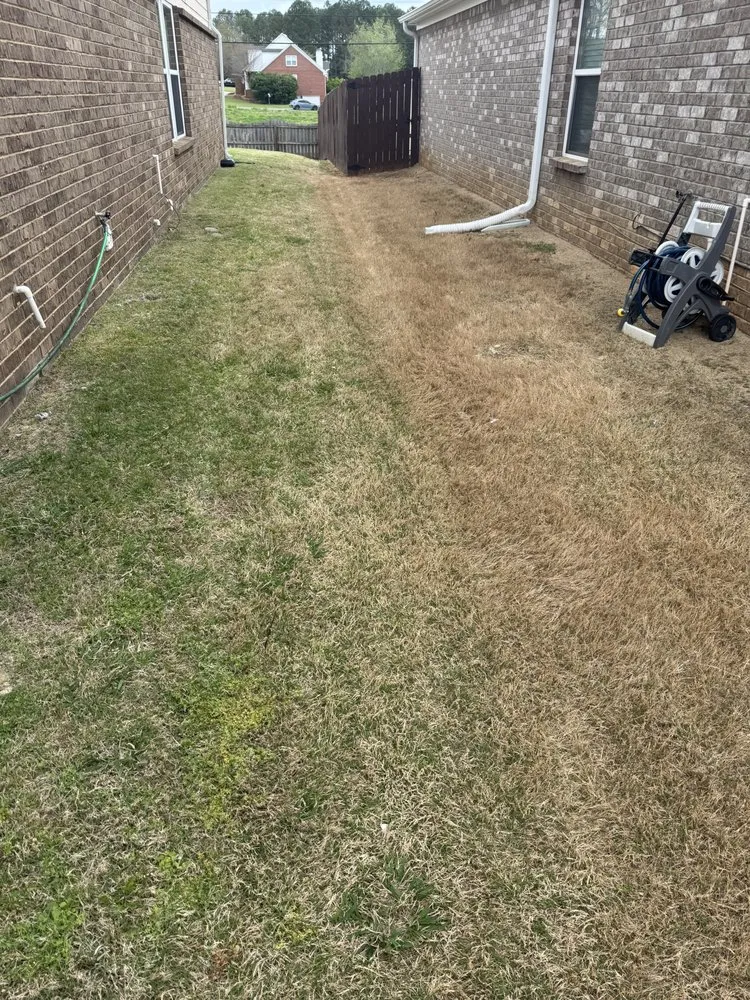 Top-rated residential landscaping with custom design across Huntsville, AL - Shakey's Landscaping