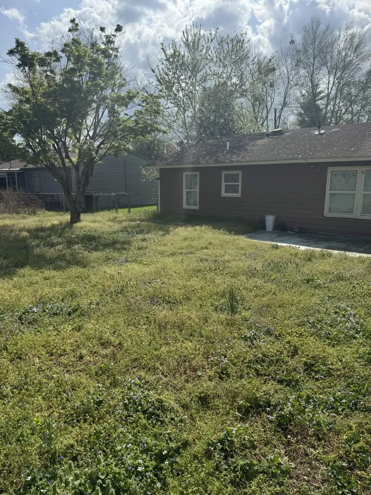 Trusted yard cleanup service in Huntsville, AL - Shakey's Landscaping