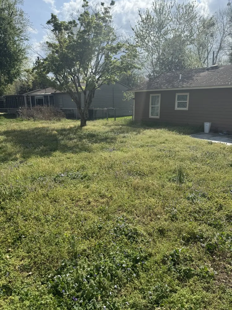 Local outdoor landscaping in Huntsville, AL by Shakey's Landscaping