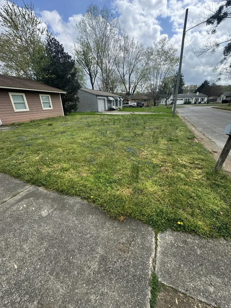 Local landscape design experts serving Huntsville, AL - Shakey's Landscaping