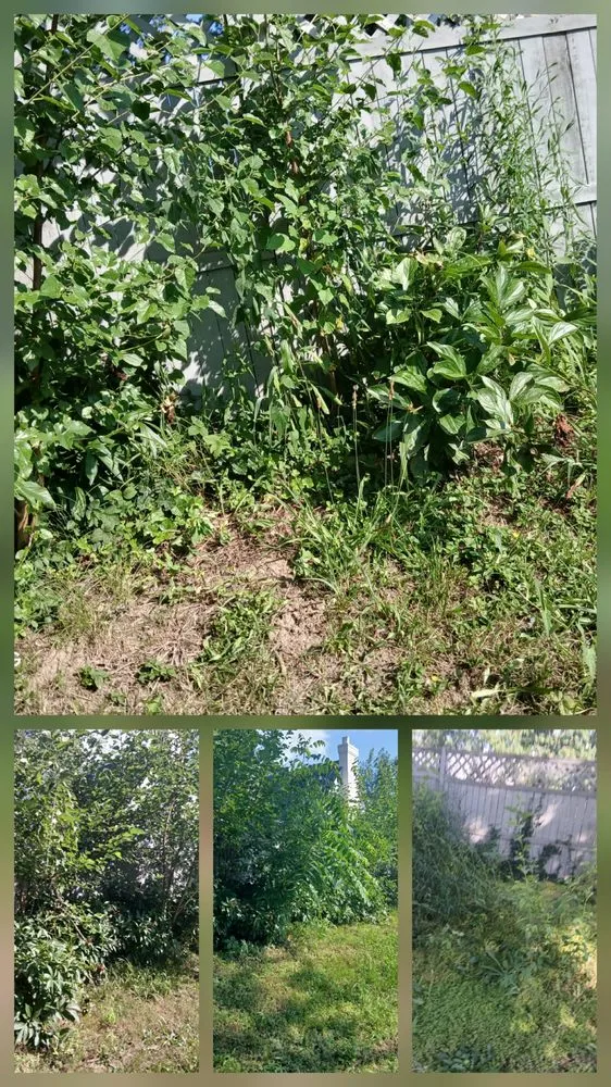 Affordable outdoor landscaping for homes across Winslow, IN - Shalabi Handyman Service