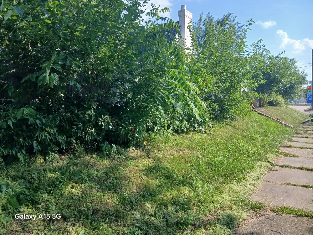 Local garden landscaping for outdoor upgrades across Winslow, IN - Shalabi Handyman Service