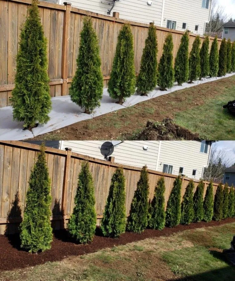 Top-rated yard cleanup service for year-round maintenance across Lake Stevens, WA - Shalom Landscaping Services