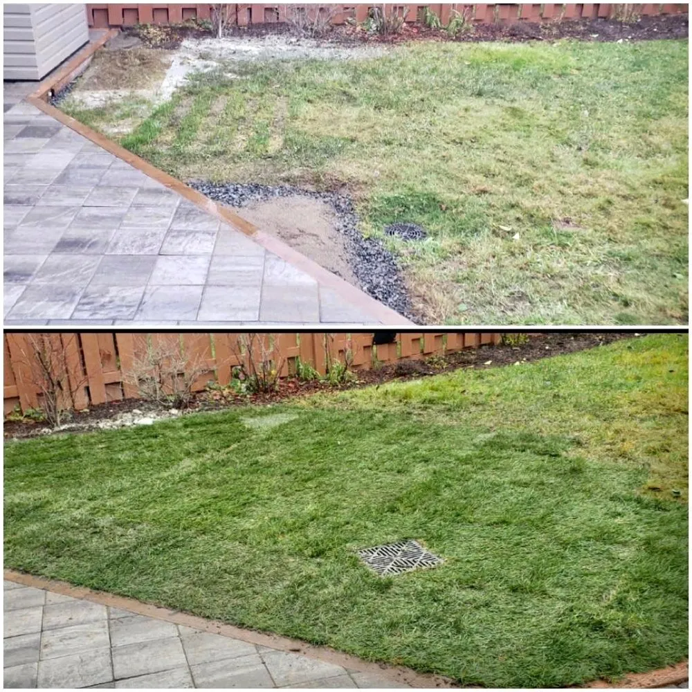 Expert landscaping services for beautiful yards across Lake Stevens, WA - Shalom Landscaping Services