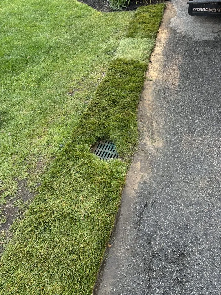 Affordable lawn care service for homes in Mashpee, MA by Shalom Masonry