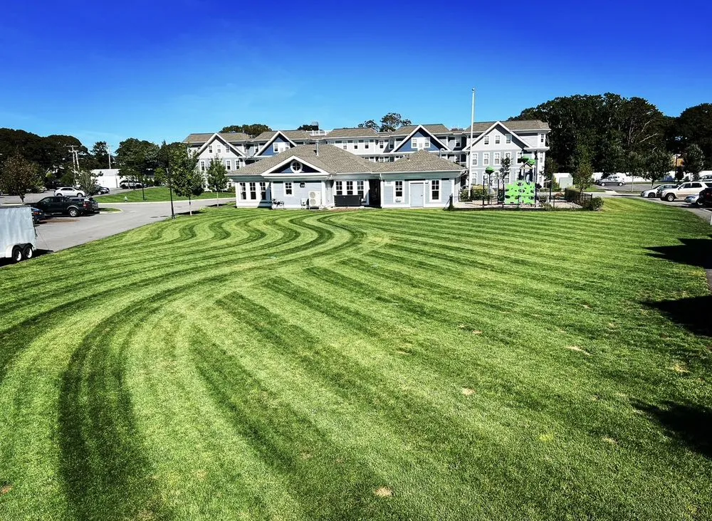 Professional landscape installation for beautiful yards across Mashpee, MA - Shalom Masonry