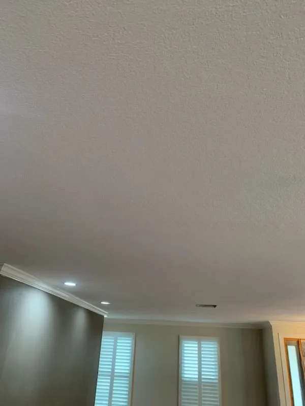 Top-rated yard maintenance in Tampa, FL - Shalom Stucco