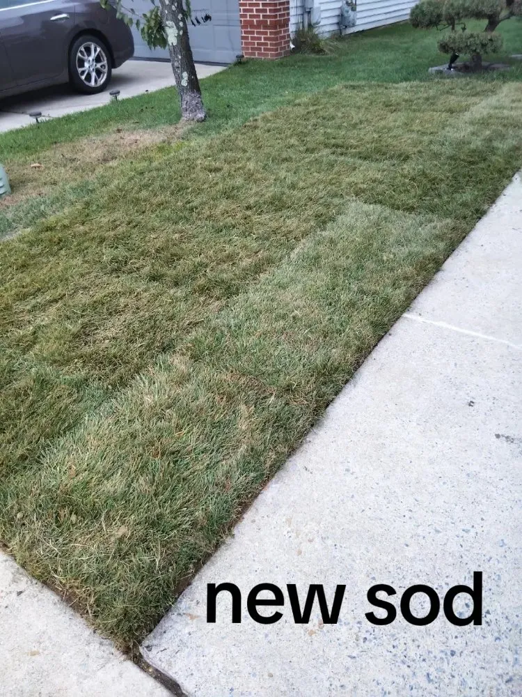 Local landscaping services in Bridgeton, NJ by Shalon Lawn Care & Landscaping