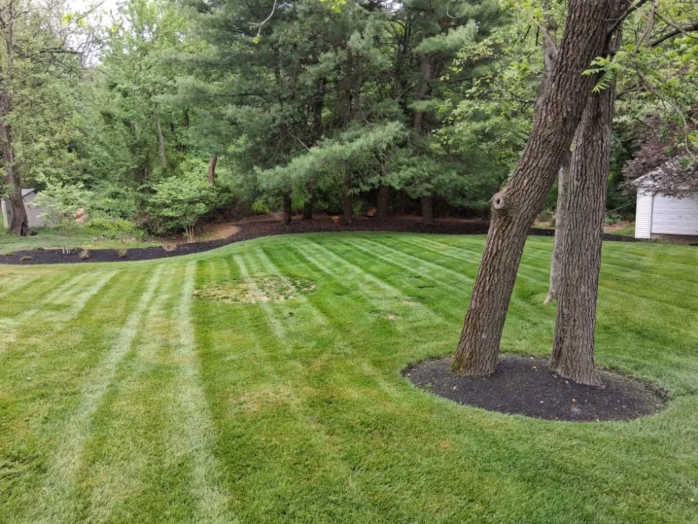 Professional lawn care service for residential properties across Bridgeton, NJ - Shalon Lawn Care & Landscaping