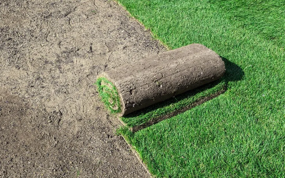 Professional yard maintenance near you in Aurora, CO by Shambach Contrivers