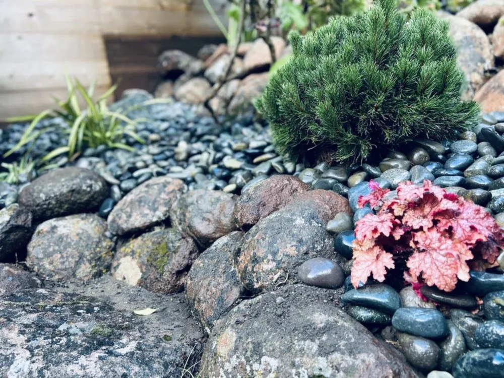 Top-rated yard cleanup service for residential properties in San Francisco, CA by Shambhala Landscapes